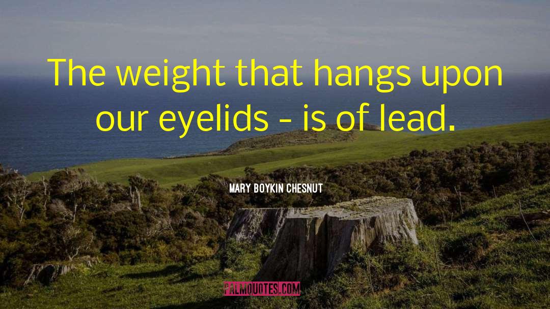 Eyelids quotes by Mary Boykin Chesnut