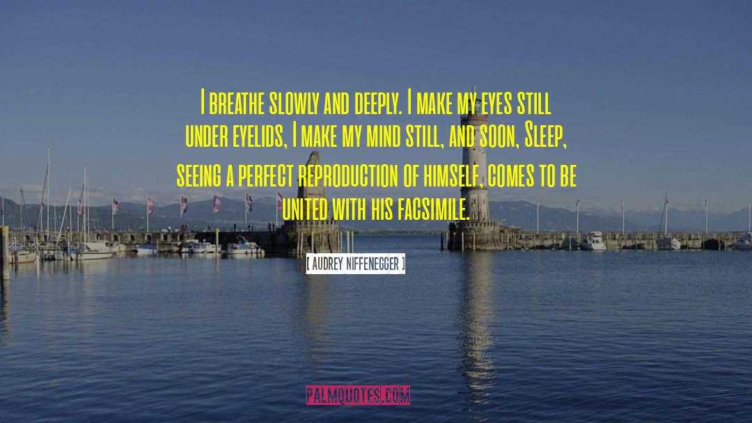Eyelids quotes by Audrey Niffenegger