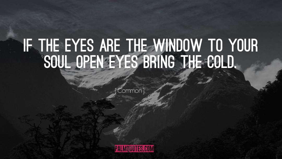 Eyes Being The Window To The Soul quotes by Common