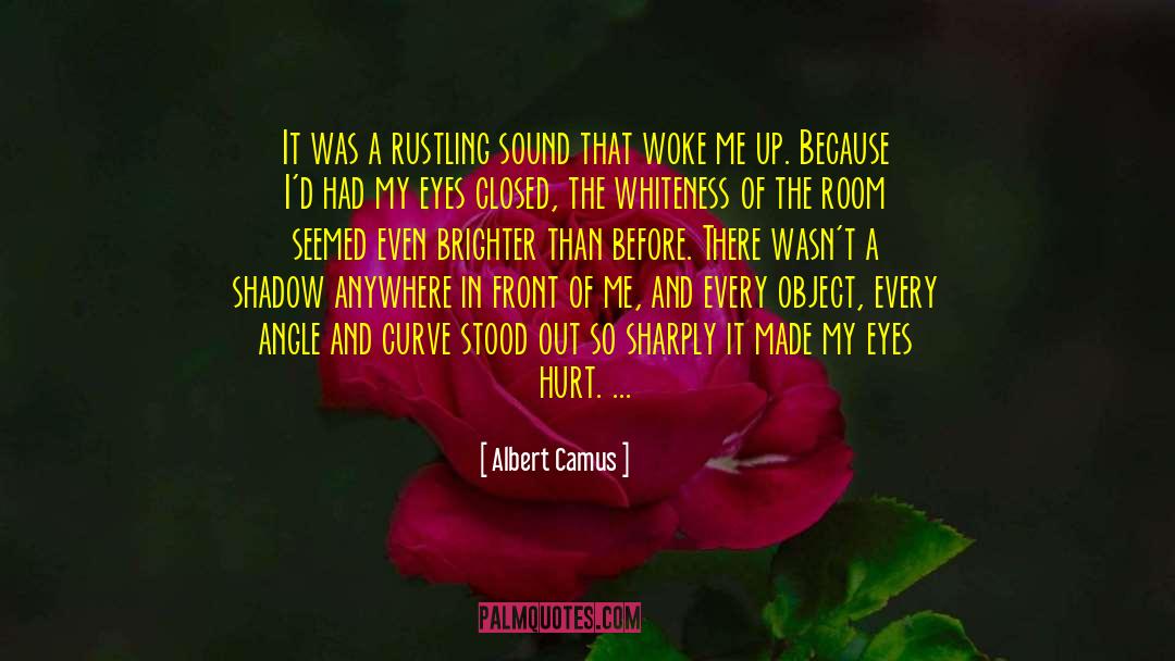 Eyes Closed quotes by Albert Camus