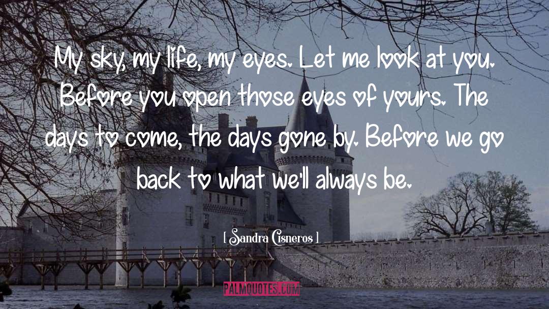 Eyes Of Love quotes by Sandra Cisneros