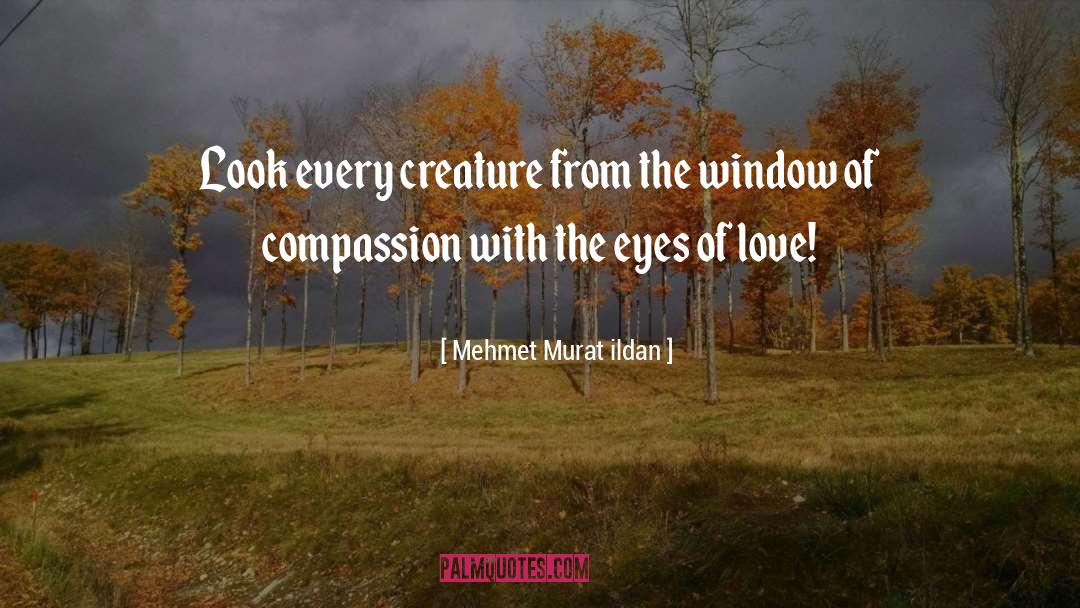 Eyes Of Love quotes by Mehmet Murat Ildan