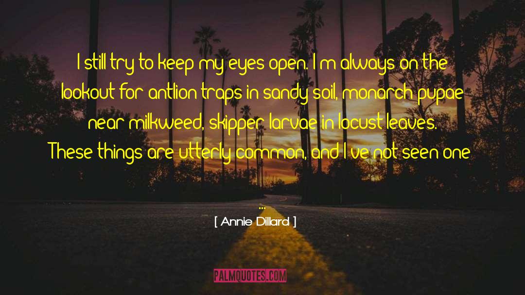 Eyes Open quotes by Annie Dillard