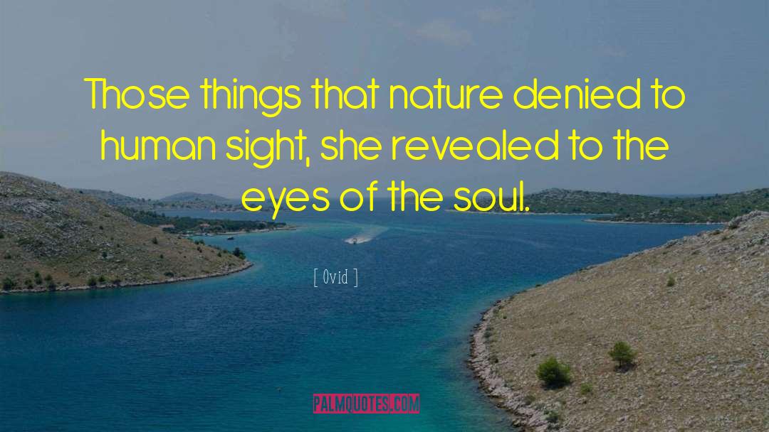 Eyes Soul Quote quotes by Ovid