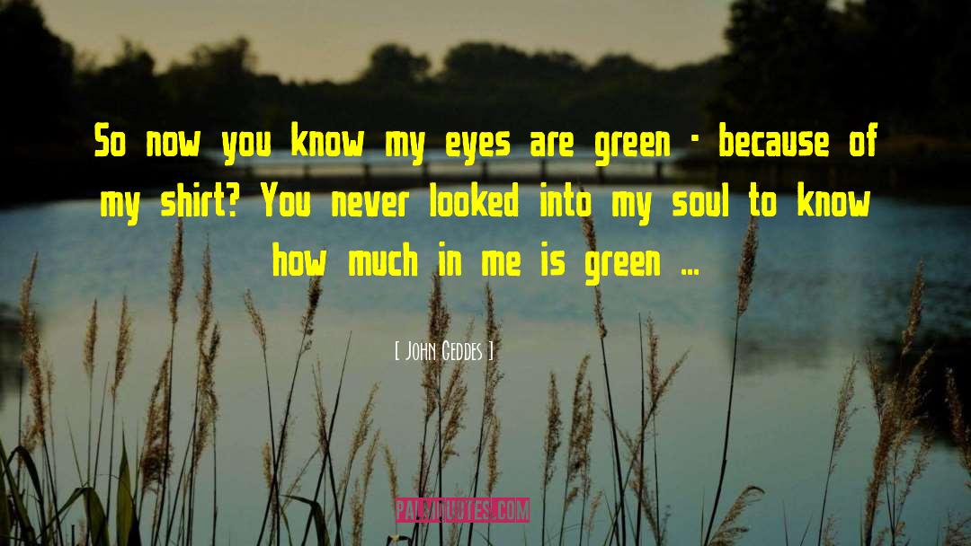Eyes Soul quotes by John Geddes