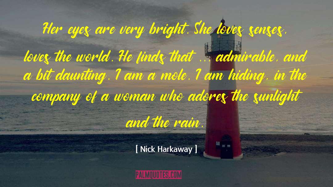 Eyes Soul quotes by Nick Harkaway