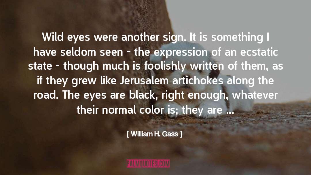 Eyes The Color Of Money quotes by William H. Gass