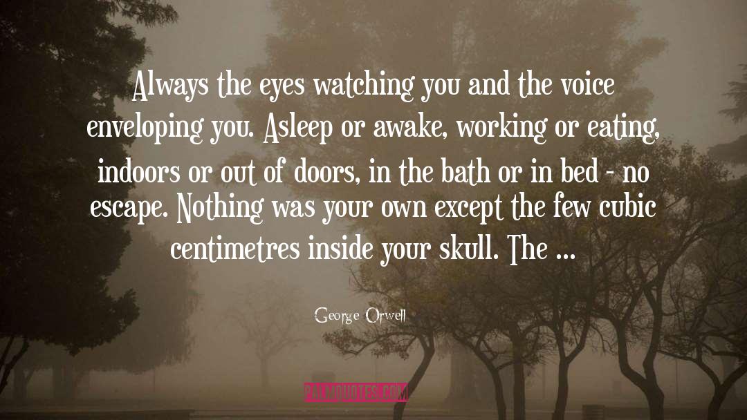 Eyes Watching quotes by George Orwell