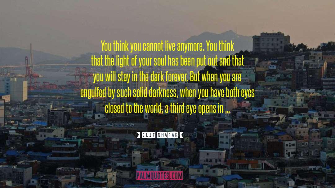 Eyesight quotes by Elif Shafak