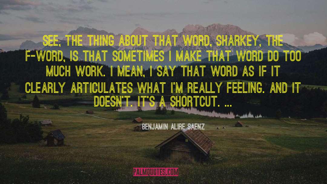 F Word quotes by Benjamin Alire Saenz