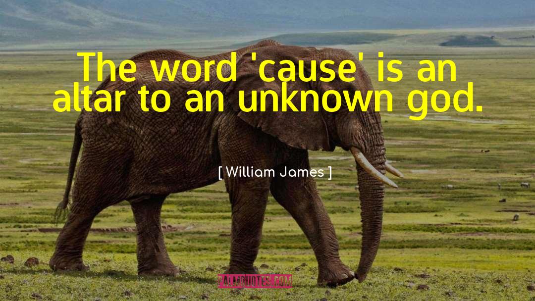 F Word quotes by William James