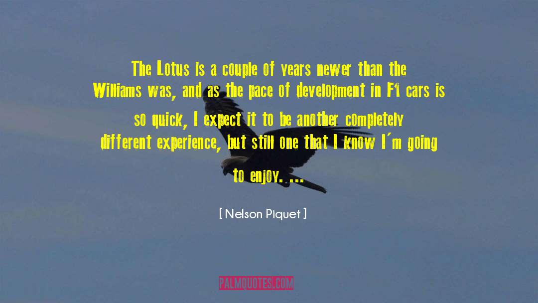 F1 quotes by Nelson Piquet