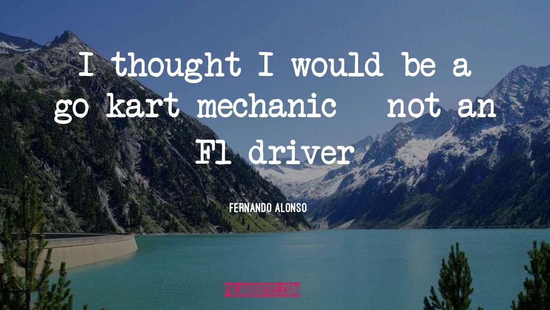 F1 quotes by Fernando Alonso