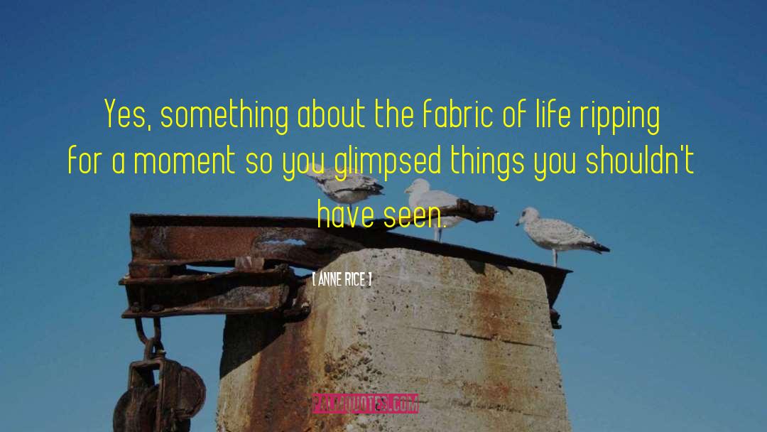 Fabric Of Life quotes by Anne Rice