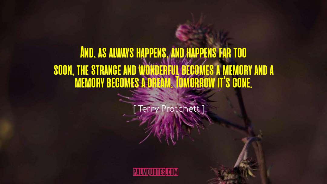 Fabricated Memory quotes by Terry Pratchett
