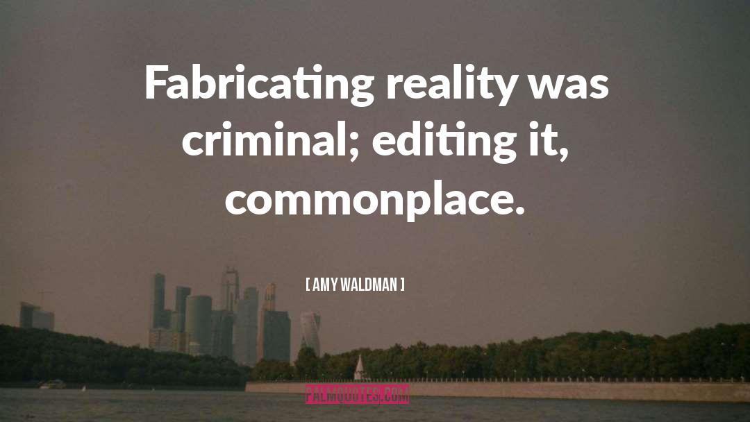 Fabricating quotes by Amy Waldman