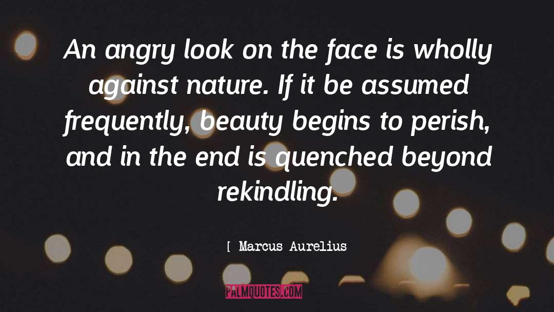 Face Look quotes by Marcus Aurelius