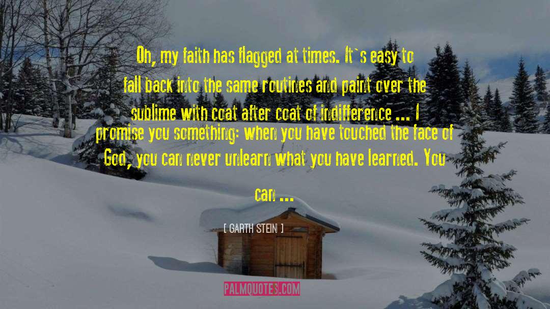 Face Of God quotes by Garth Stein