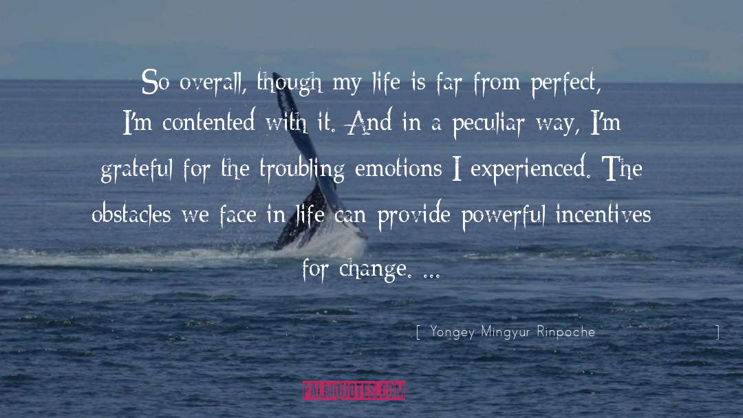 Face Realities quotes by Yongey Mingyur Rinpoche