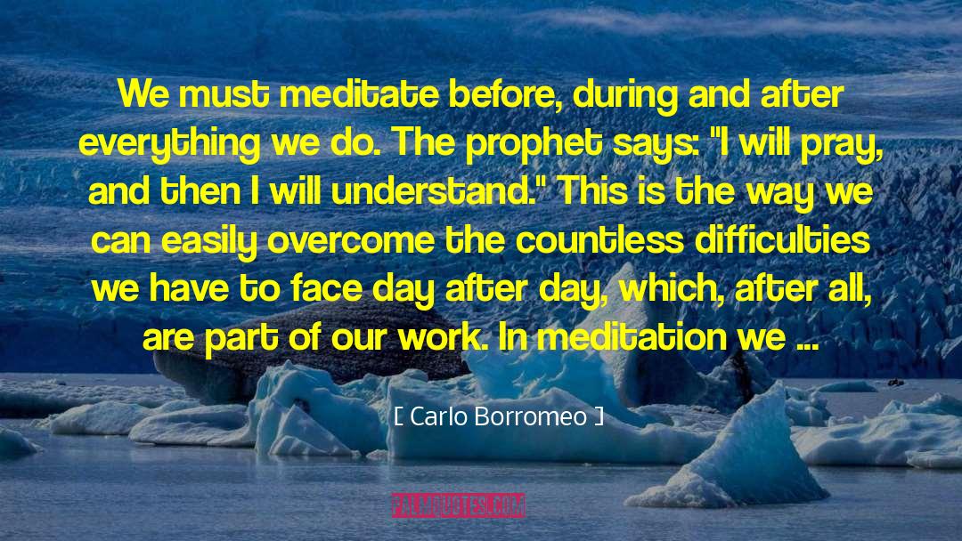 Face The Consequences quotes by Carlo Borromeo