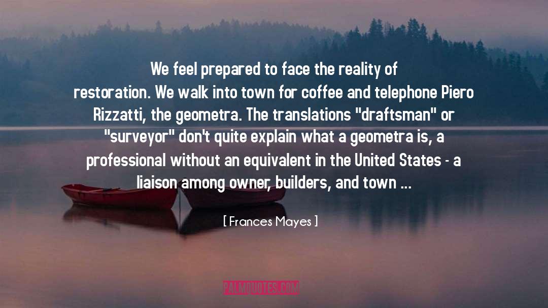 Face The Reality quotes by Frances Mayes
