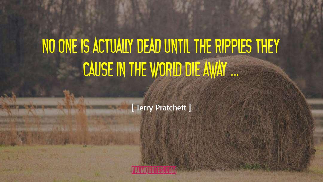 Face The World quotes by Terry Pratchett