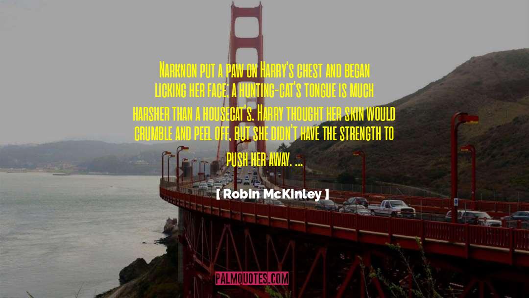 Face To Face Conversations quotes by Robin McKinley