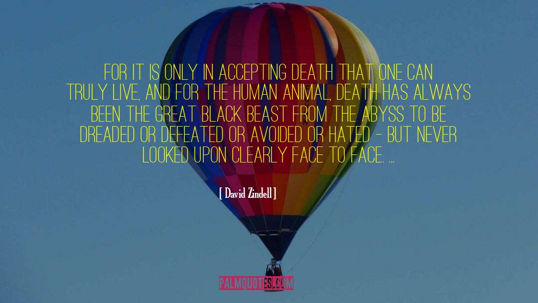 Face To Face quotes by David Zindell