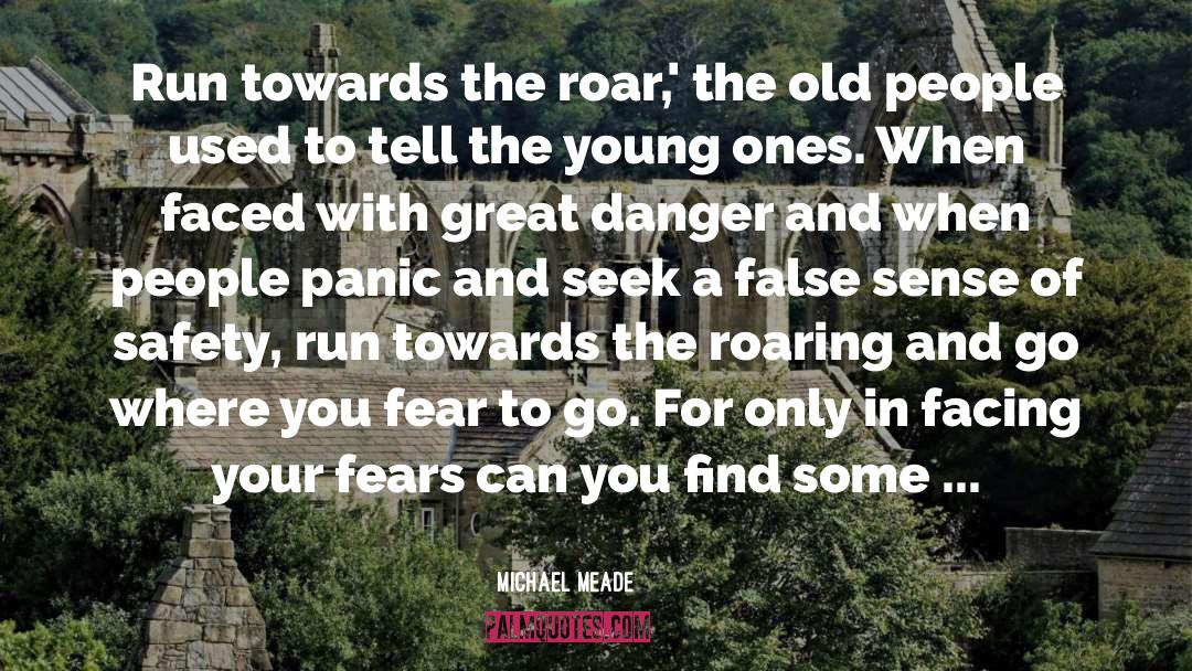 Face Your Fears quotes by Michael Meade