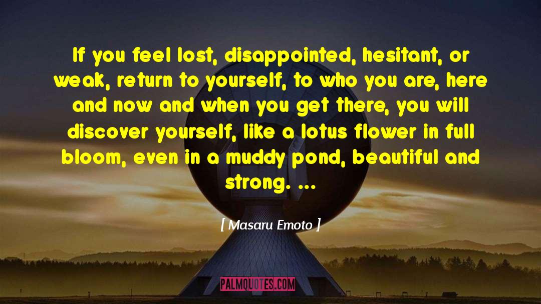 Facedown Lotus quotes by Masaru Emoto