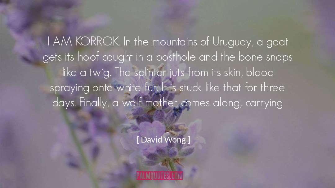 Facello Uruguay quotes by David Wong