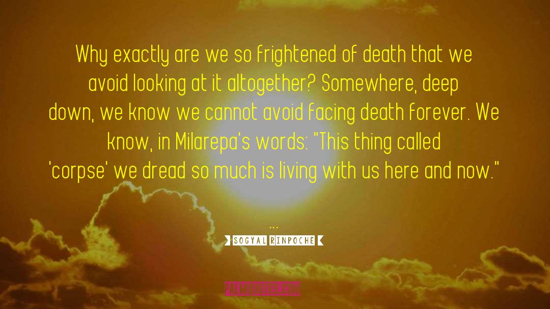 Facing Death quotes by Sogyal Rinpoche