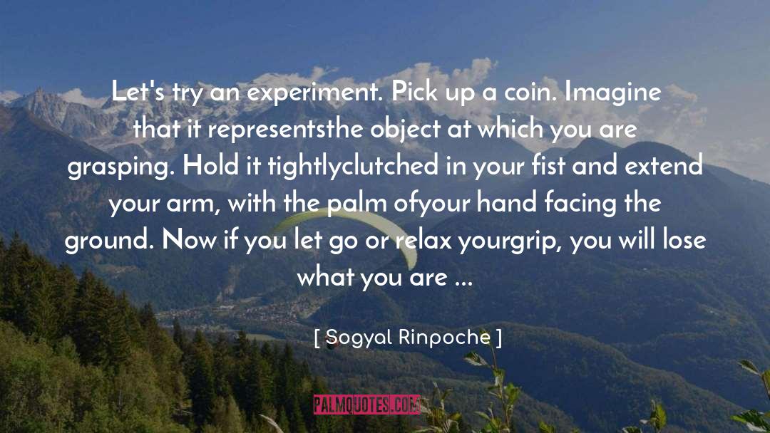 Facing Fears quotes by Sogyal Rinpoche