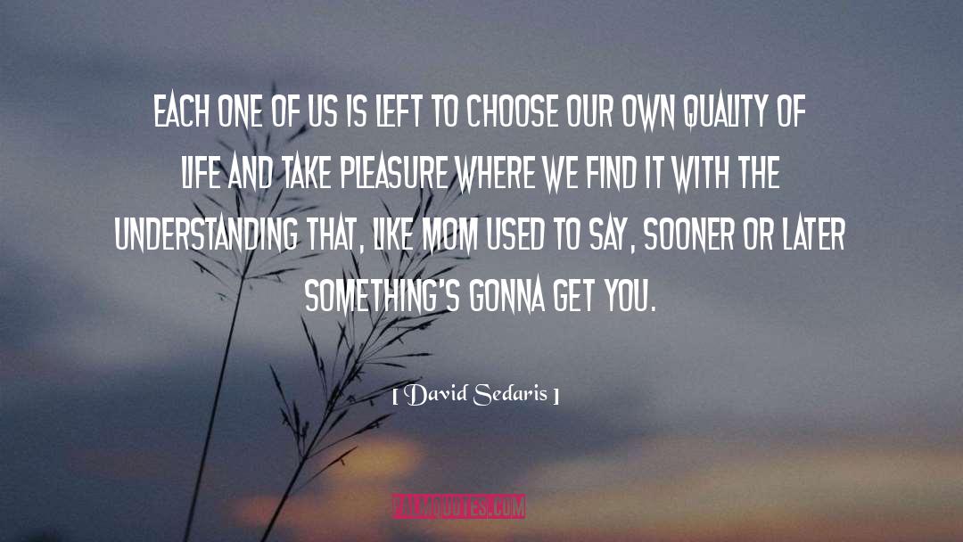 Facing Life quotes by David Sedaris