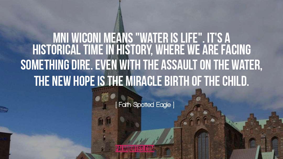 Facing quotes by Faith Spotted Eagle