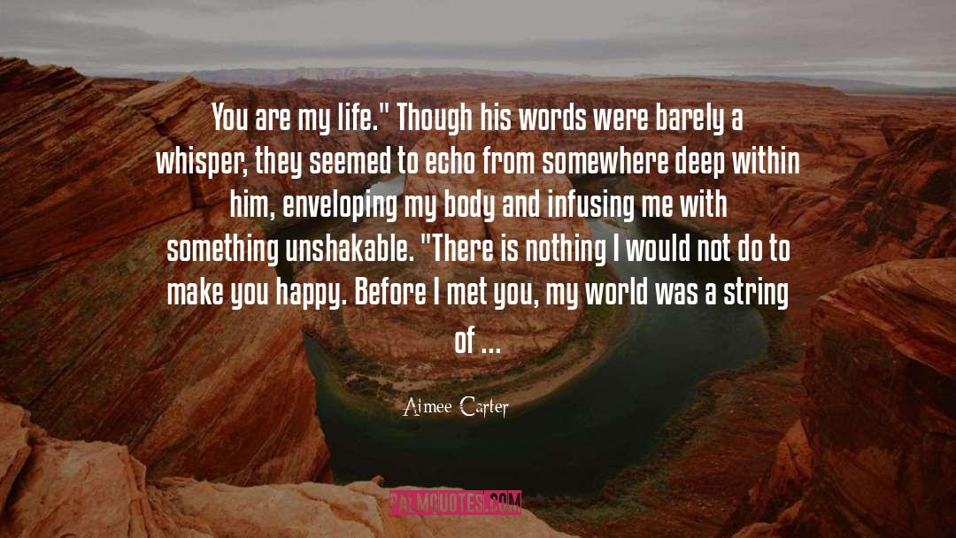 Facing quotes by Aimee Carter