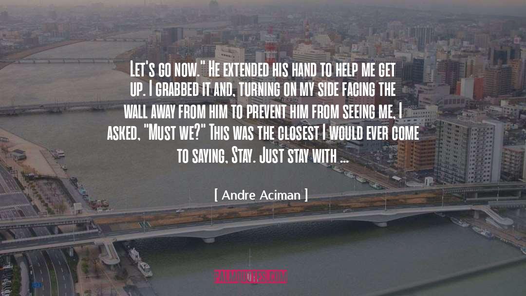 Facing quotes by Andre Aciman