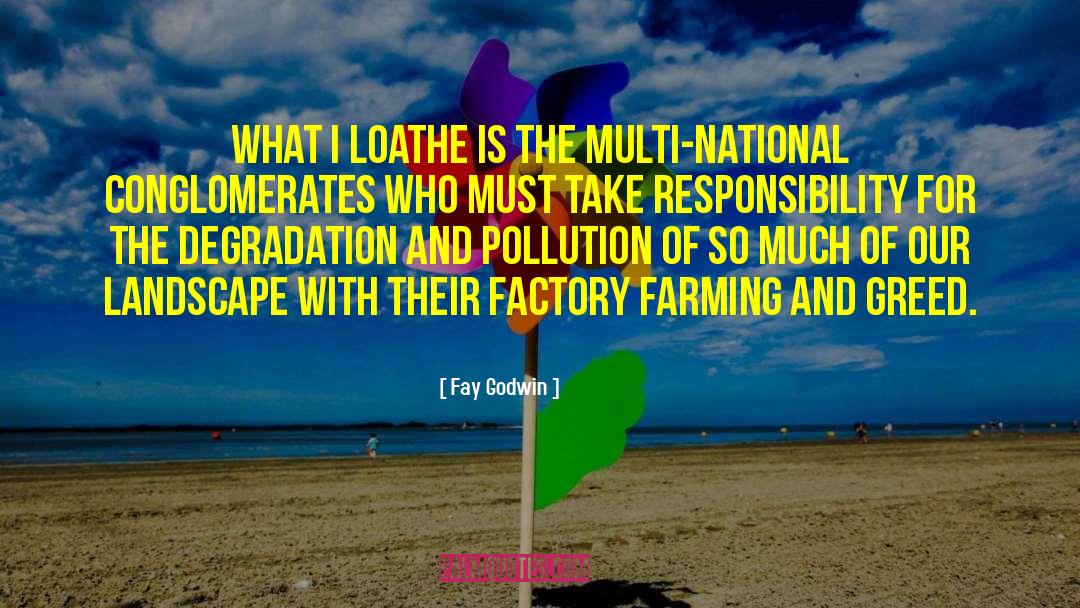 Factory Farming quotes by Fay Godwin
