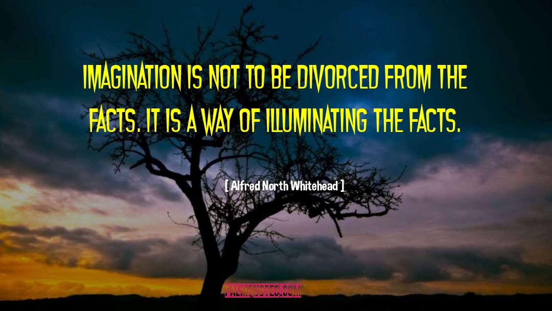 Facts Imagination quotes by Alfred North Whitehead