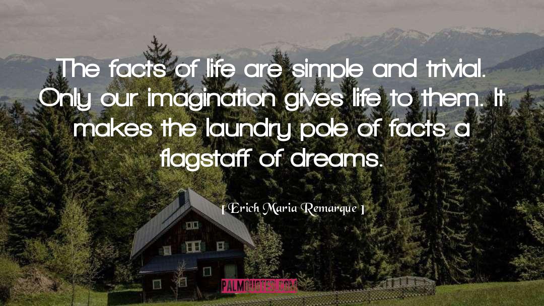 Facts Of Life quotes by Erich Maria Remarque