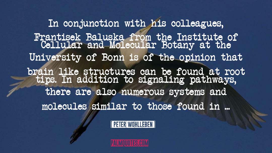 Faculty quotes by Peter Wohlleben