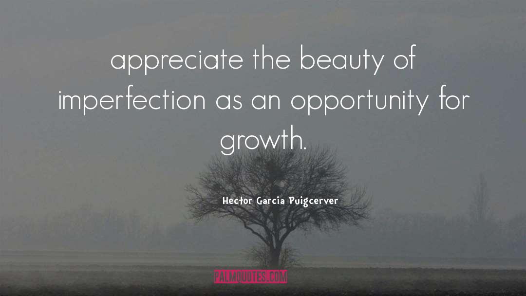 Faded Beauty quotes by Hector Garcia Puigcerver