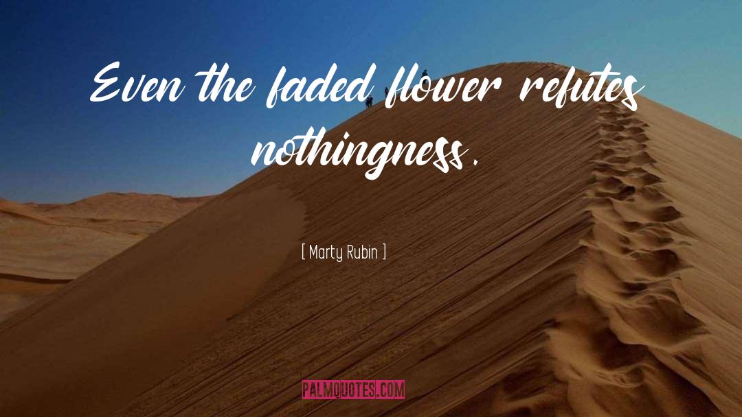 Faded quotes by Marty Rubin