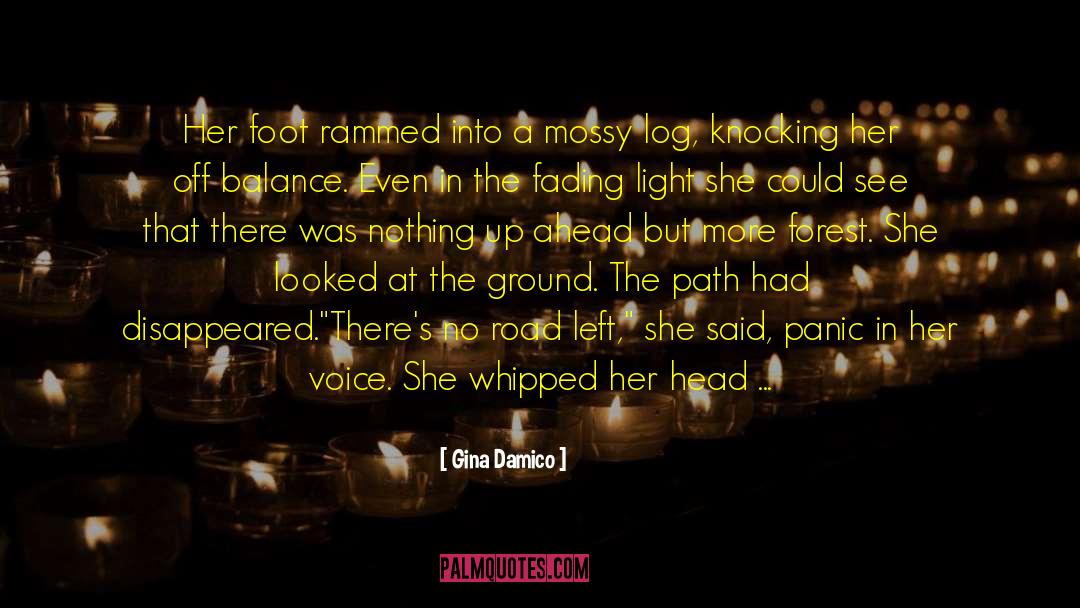 Fading Light quotes by Gina Damico