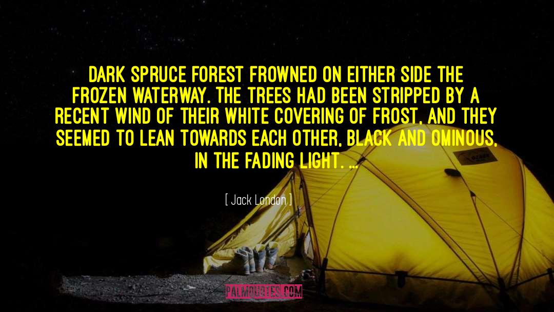 Fading Light quotes by Jack London