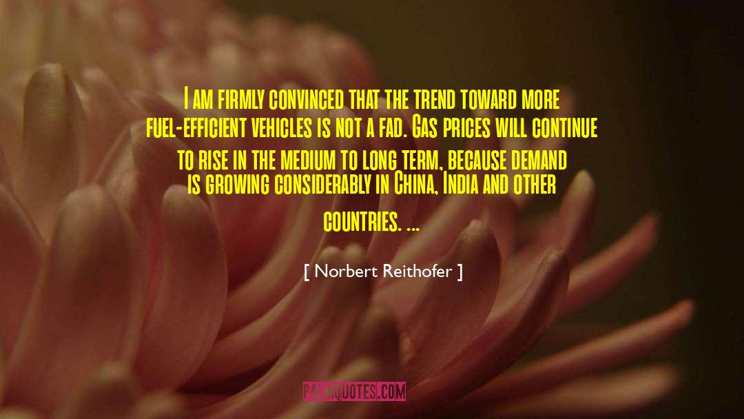 Fads quotes by Norbert Reithofer