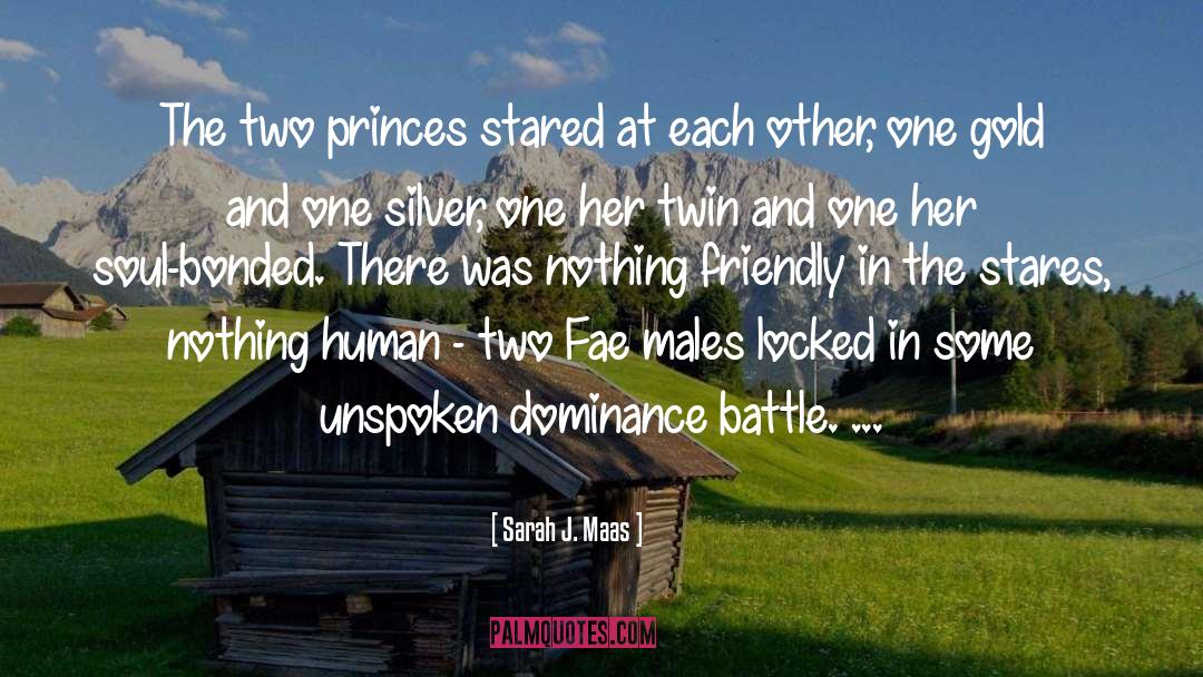 Fae Royalty quotes by Sarah J. Maas