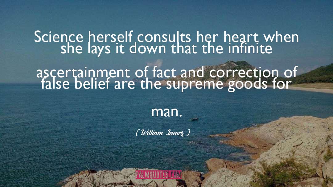 Faerie Heart quotes by William James