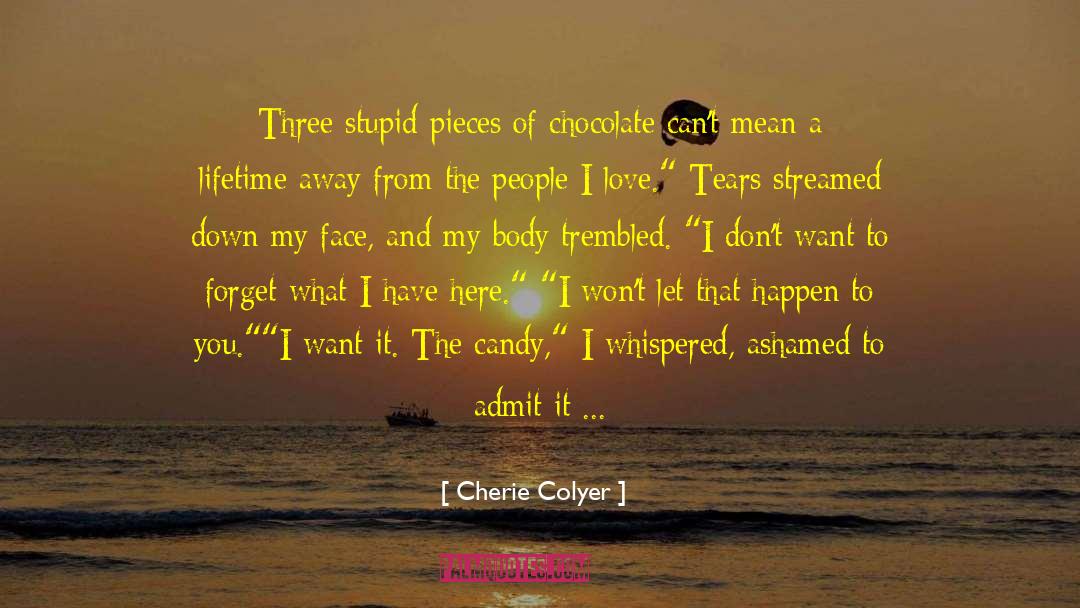 Faerie Paranormal Romance quotes by Cherie Colyer