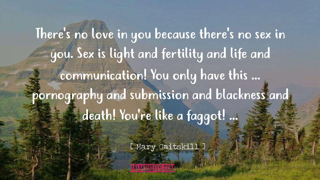 Faggot quotes by Mary Gaitskill